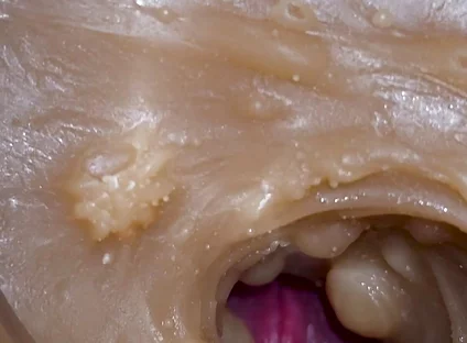 Camera Inside Deep Pussy Captures Cumshot