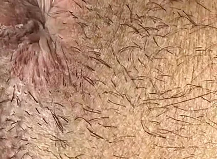 Do You Like My Ass?