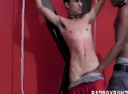 Mikeal Takes Full Control Of Bound Lucas Love Flogging Hard With Lucas Lovestone
