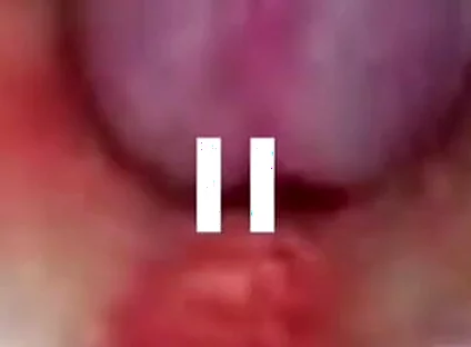 Best Compilation Crempie Pussy - Camera Inside 4K