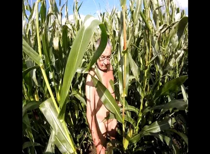 Maize Walk