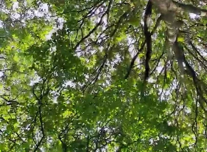 Slutboyben Cam4 Sexy Cruising Chick Iii Live Outdoor Exposure