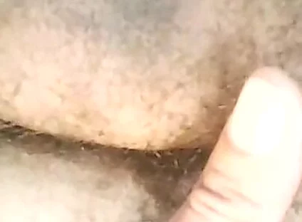 Pikão