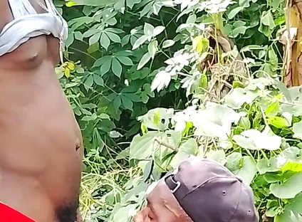 Big Cock Sucker
