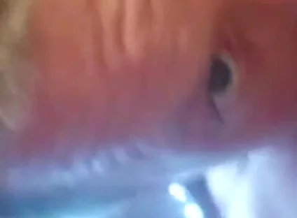 An Intense Orgasm From a Blowjob Cum in Mouth