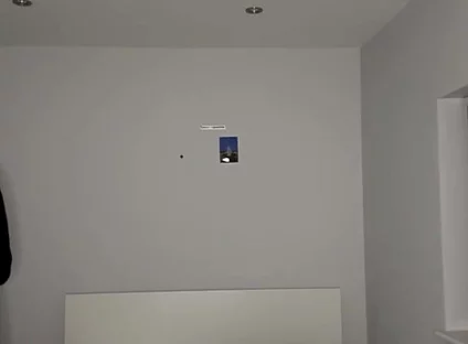 Cock and Ass