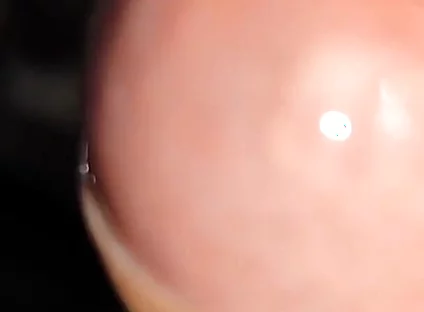 Waking up Excited and with My Cock Soaked in Precum.