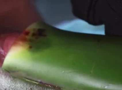 Jerking Off With Aloe Vera Ultil I Nut A Thick Load