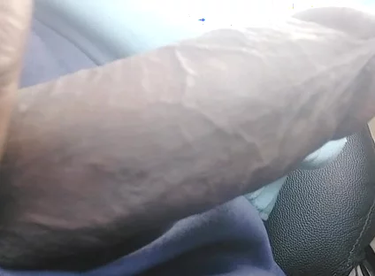 Most Wanted Cock