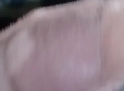 Cum in Mother-in-law's Panties