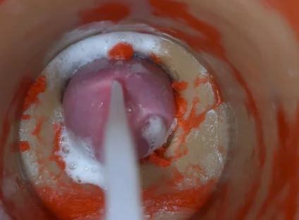 Insemination - Internal Camera Captures Deep Male Ejaculation