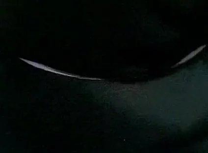 Masturbation Mature Man with Big Cock Part 1