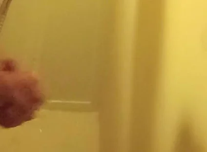 Cleaned Cock