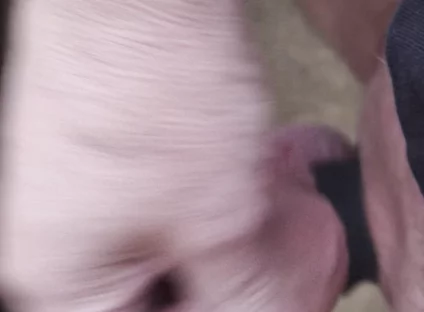 My Friend Sits in a Chair and Jerks His Cock While Watching the Video Until He Orgasms