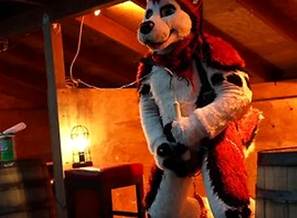 Husky Fursuiter Suspension Jerkoff