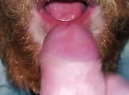 I Let My Stepbro Suck Me As Christmas Gift - Hunk Hands