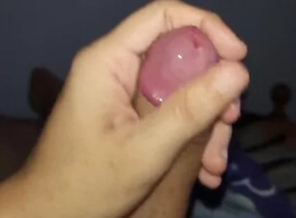 The Most Beautiful Cock You Will See Today