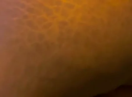 Big Black Ass