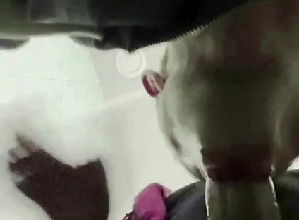 The Teacher's Thick Sucks in a Public Toilet. Slaps for a Student