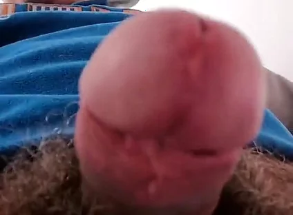 You Want to Suck My Meat Pole