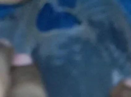 Indian Boy Bathroom Masterbate with Wife Fuck