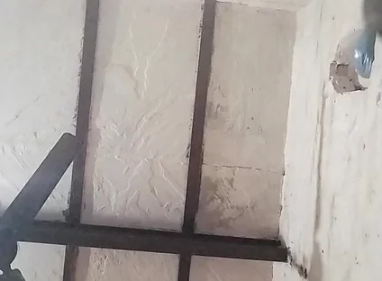 Big Indian Cock