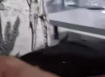 Big Cock